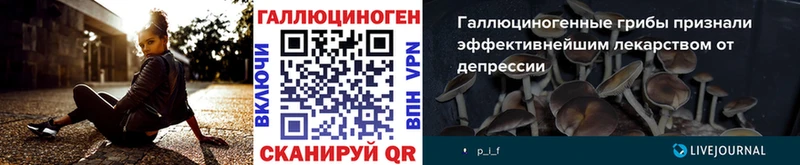 купить наркотики сайты  Северо-Курильск  Галлюциногенные грибы Psilocybe 